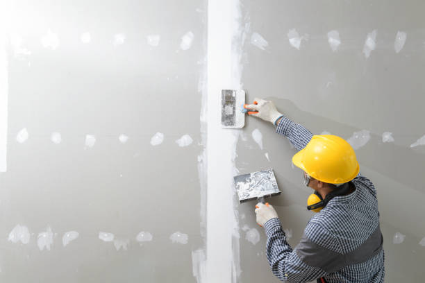 Best Mold Damage Restoration  in Rocky Mount, NC