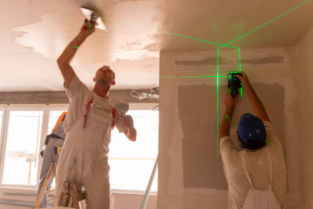 Best Commercial Mold Inspection  in Rocky Mount, NC