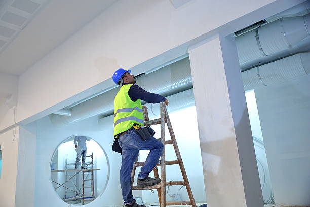 Professional Mold Removal in Rocky Mount, NC